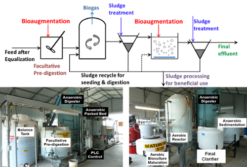 Pilot-scale evaluation for anaerobic digestion of brown grease